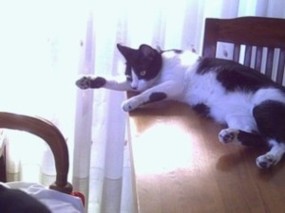20070515213441-onis2.jpg