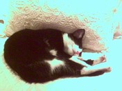 20070528185522-pict0042.jpg