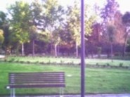 20070608183929-pict0021.jpg