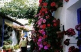 20070610143522-patio-cordobes.jpg