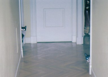 20070610144827-mis-gatos.jpg